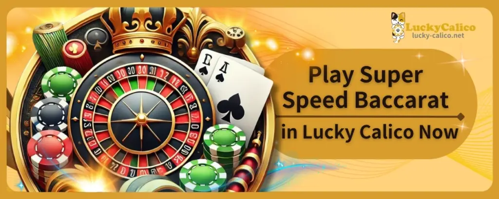 Play Super Speed Baccarat in Lucky Calico Now